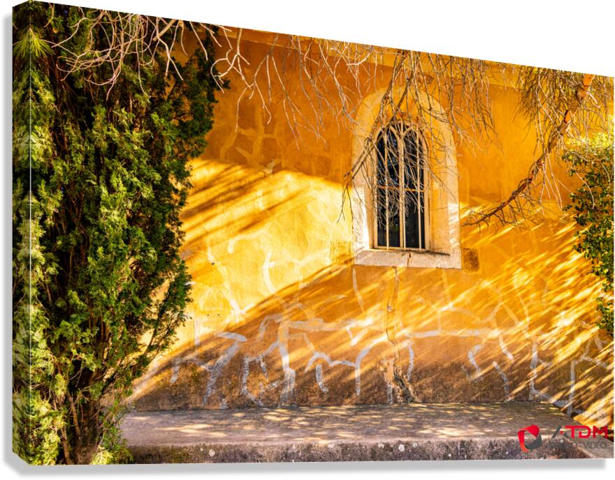 mur Canvas Print