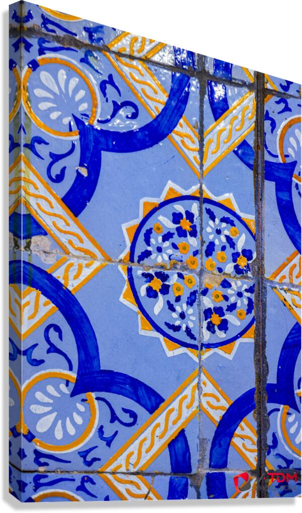 Tuiles Canvas Print