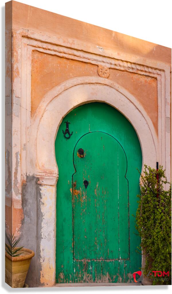 Vert porte Canvas Print