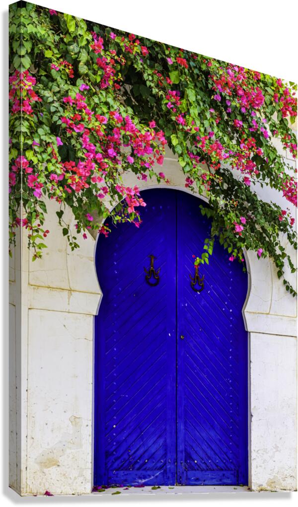 Bleu porte Canvas Print