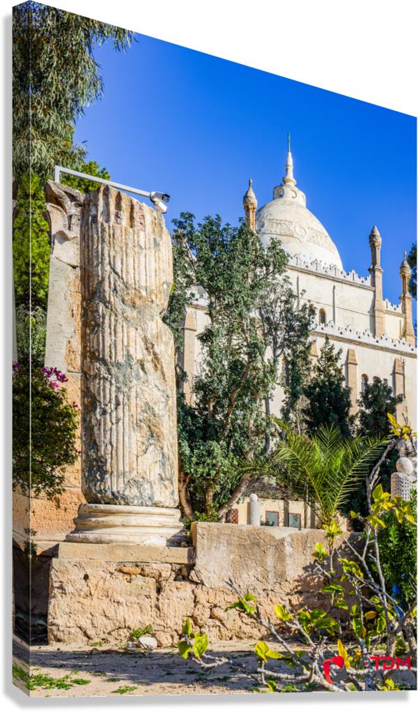 Carthage Canvas Print