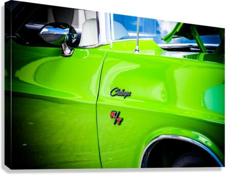 26551 Canvas Print
