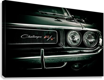 13345 Canvas Print