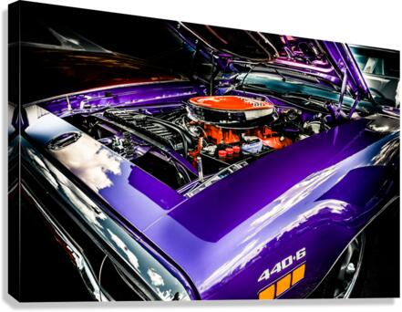26637 Canvas Print