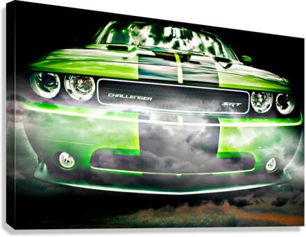 18575 Canvas Print