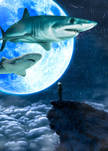 The Shark Moon
