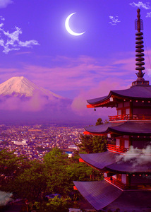 The Fuji Japanese Art