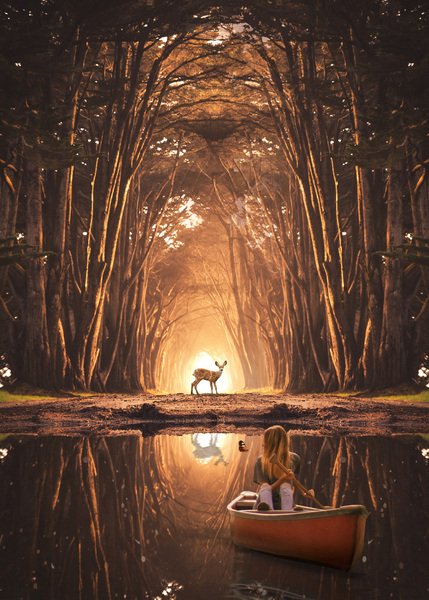 Illusion World Print