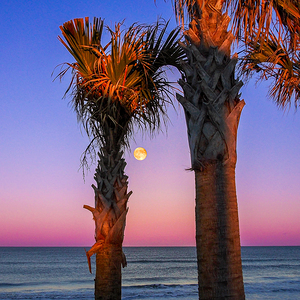 Lever de la lune.fin