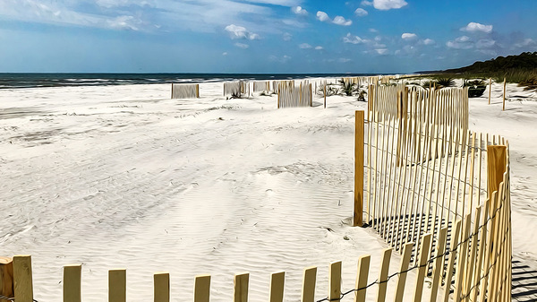 La cloture Hilton Head  Imprimer