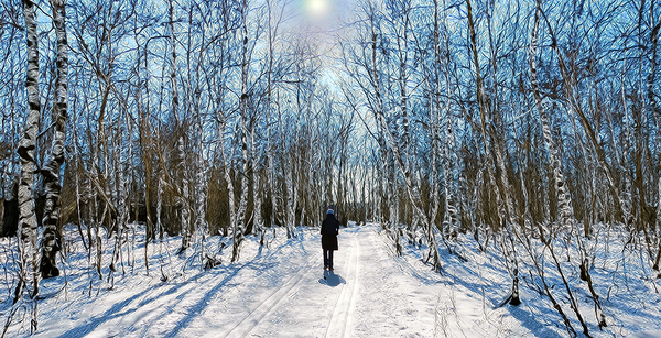 Marche en forêt  Imprimer