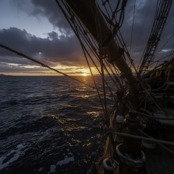 Ship 11