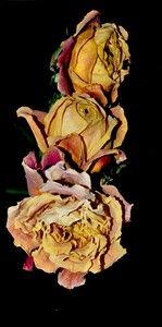 roses