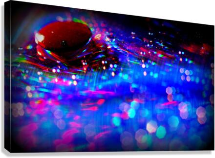 etincelles Canvas Print