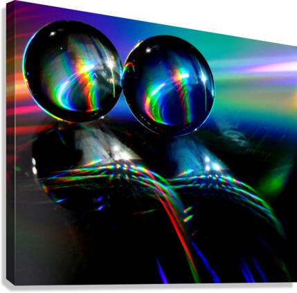 DUO1 Canvas Print