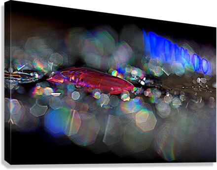 etincelles Canvas Print