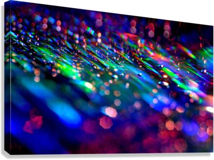 illusions Canvas Print