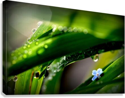 green Canvas Print