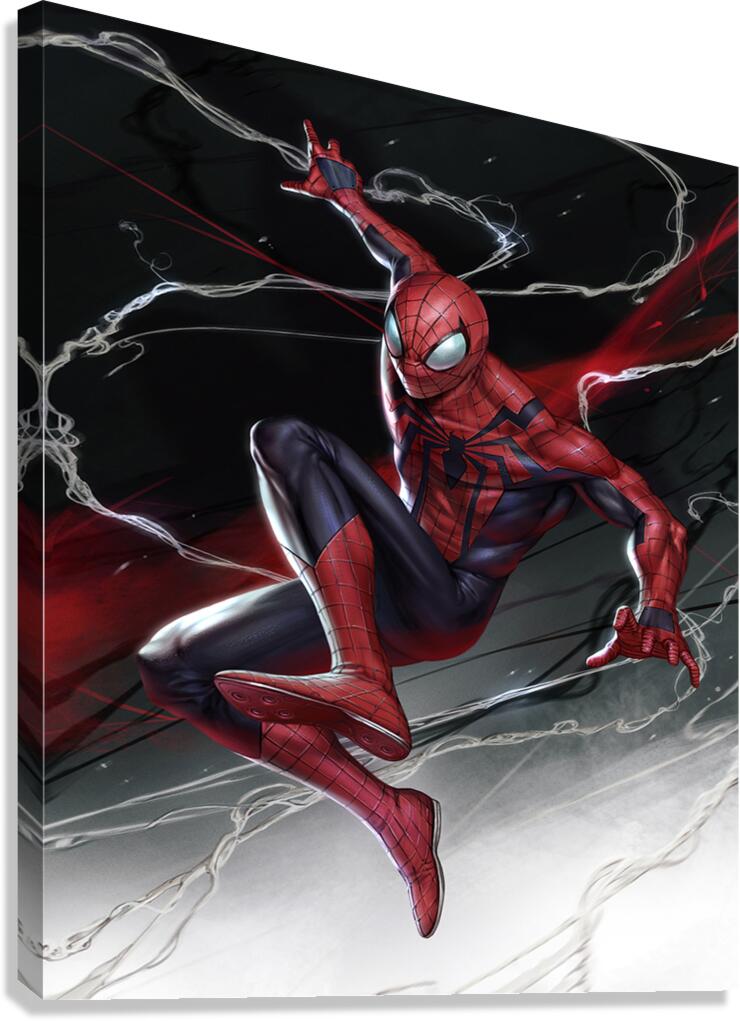 Spider Man Canvas Print