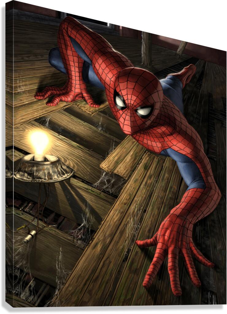 Spider Man Canvas Print