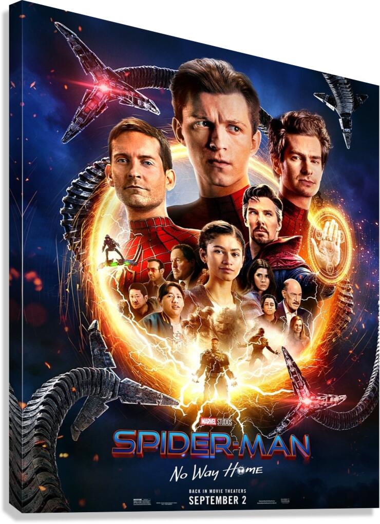 Spider Man Canvas Print