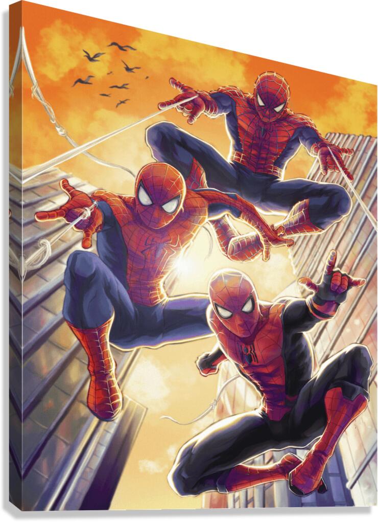 Spider Man Canvas Print