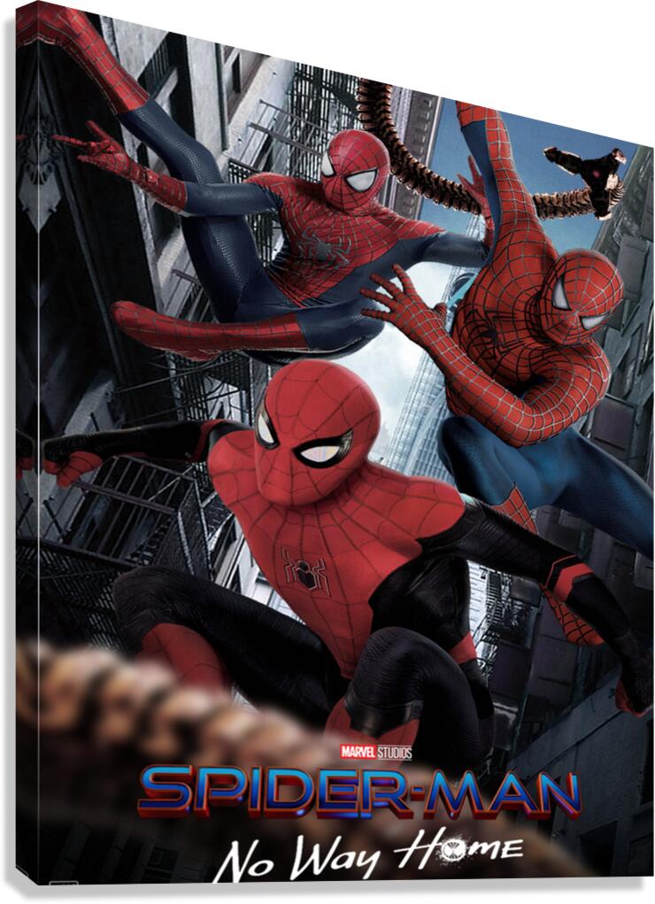 Spider Man Canvas Print