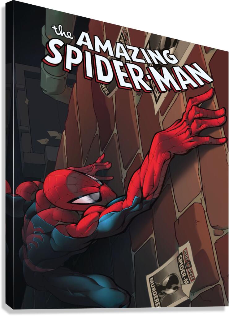 Spider Man Canvas Print
