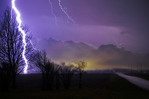 Nature’s Flash Photography