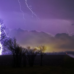 Nature’s Flash Photography