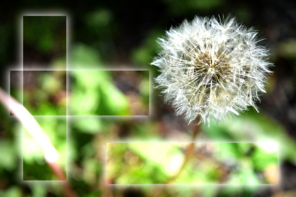 Fragile et résistante Print