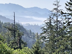 PNW Vista