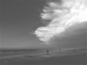 Sea Breeze Black & White