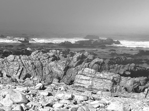 Rocky shore