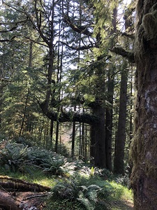 Northwest Quiet 