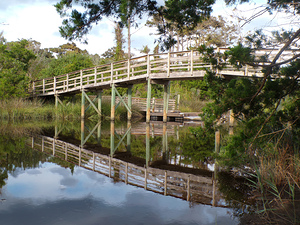  Davis Canal Bridge 