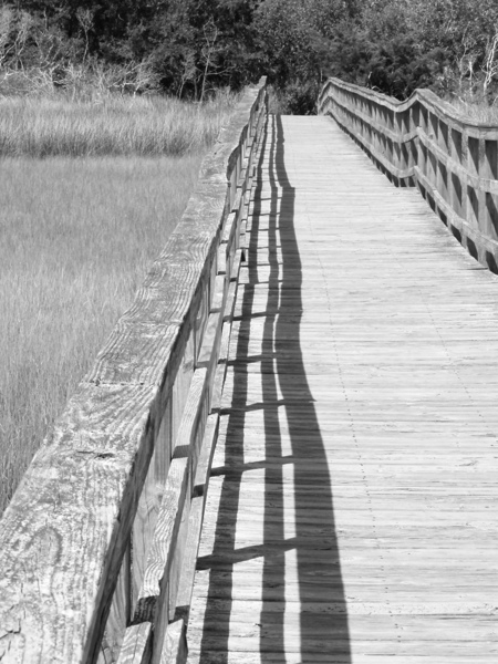 Marsh Walkover  Print