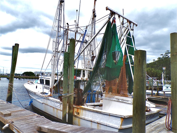 Shrimp Boat Print