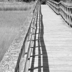 Marsh Walkover 