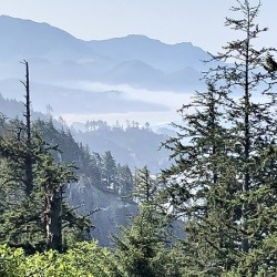 PNW Vista