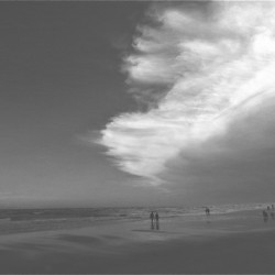 Sea Breeze Black & White