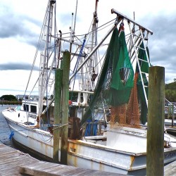 Shrimp Boat