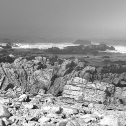 Rocky shore
