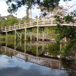  Davis Canal Bridge 