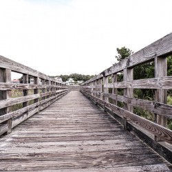 Walkover 