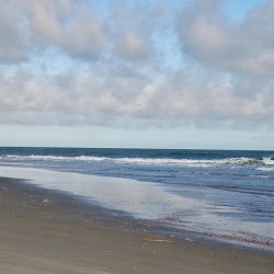 Serenity 