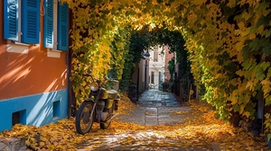 Step into a serene autumn day in this picturesque narrow alleyway where the warm hues of the season come alive.
