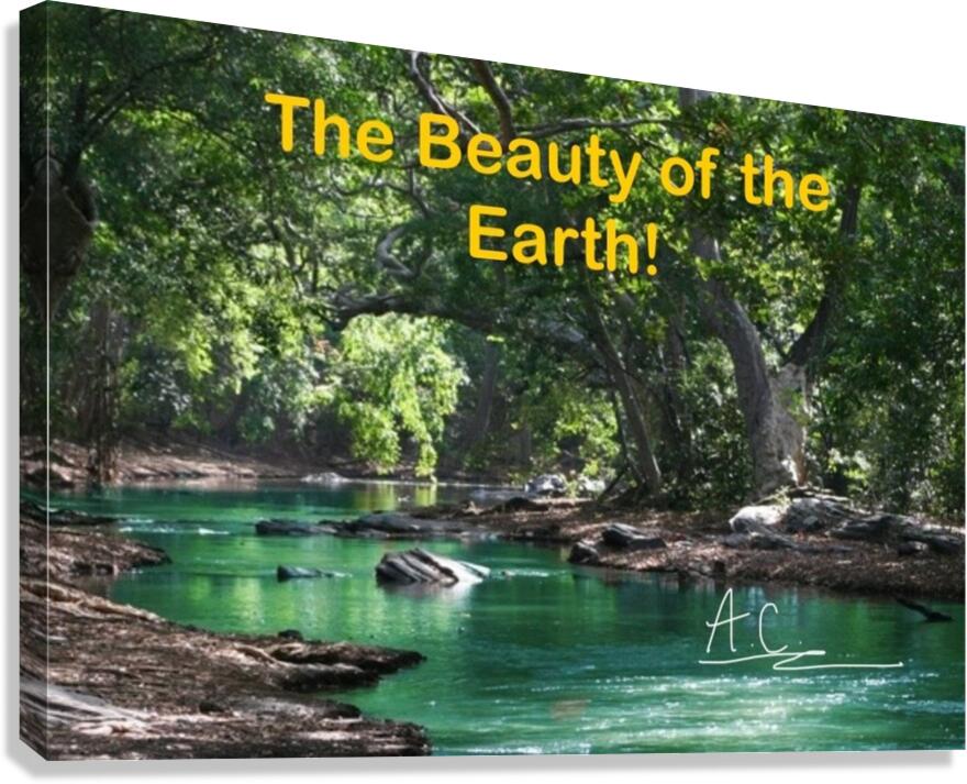 Tonys elevation Frames 1 Canvas Print