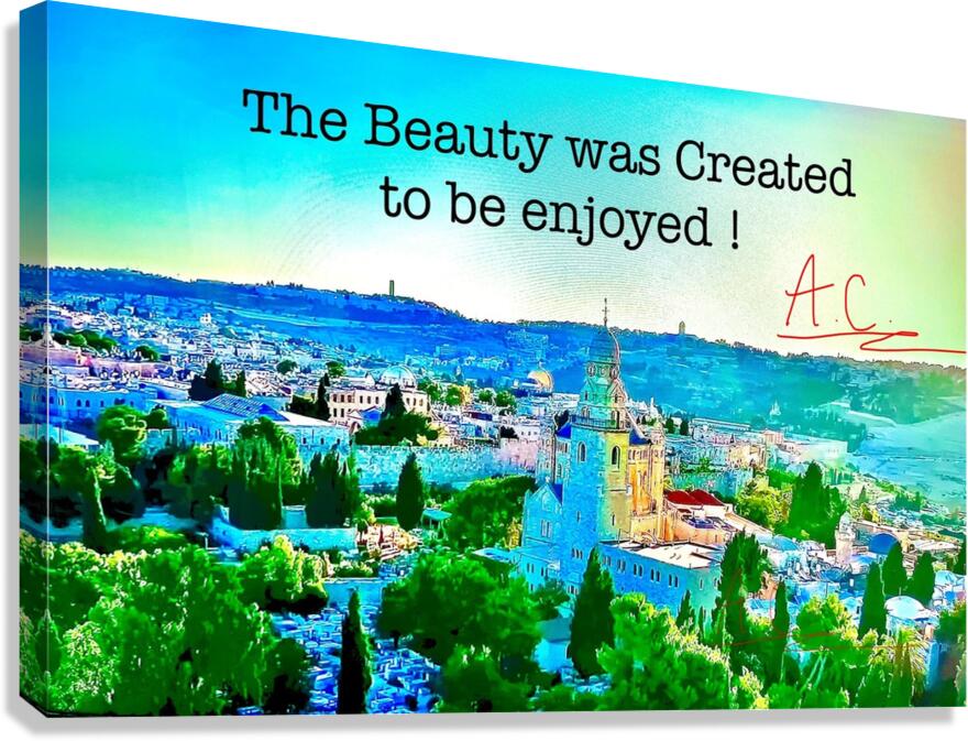 Tonys elevation Frames 2 Canvas Print