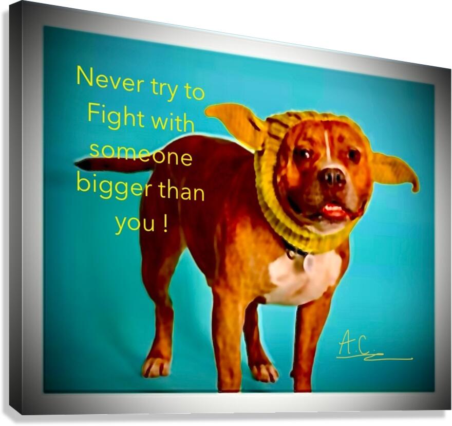 Tonys elevation Frames 1 Canvas Print